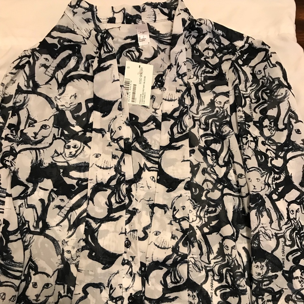 American Apparel Chiffon Secretary Blouse